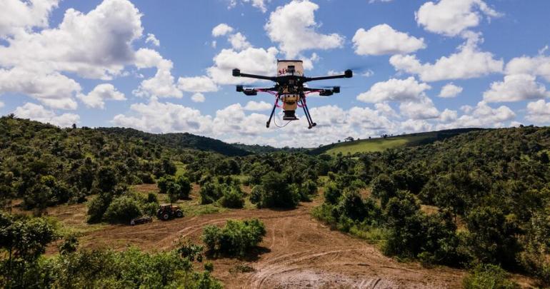 Hérault Spécialisée dans la reforestation par drone Morfo simplante